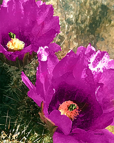 Cactus Flower Photo Art Print