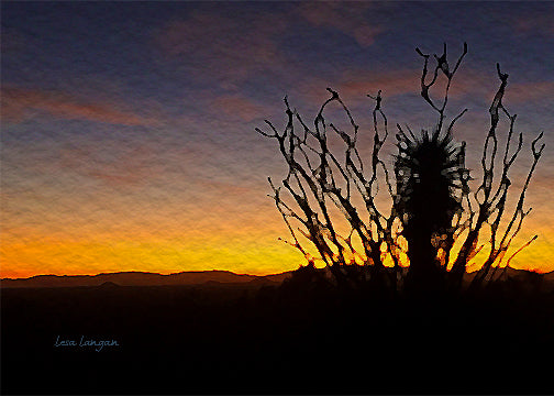 Southwest Sunsets: Cactus at Dusk