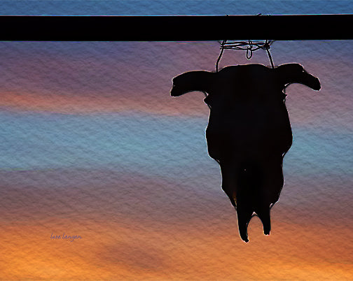 Southwest Sunsets: Cattle Ranch